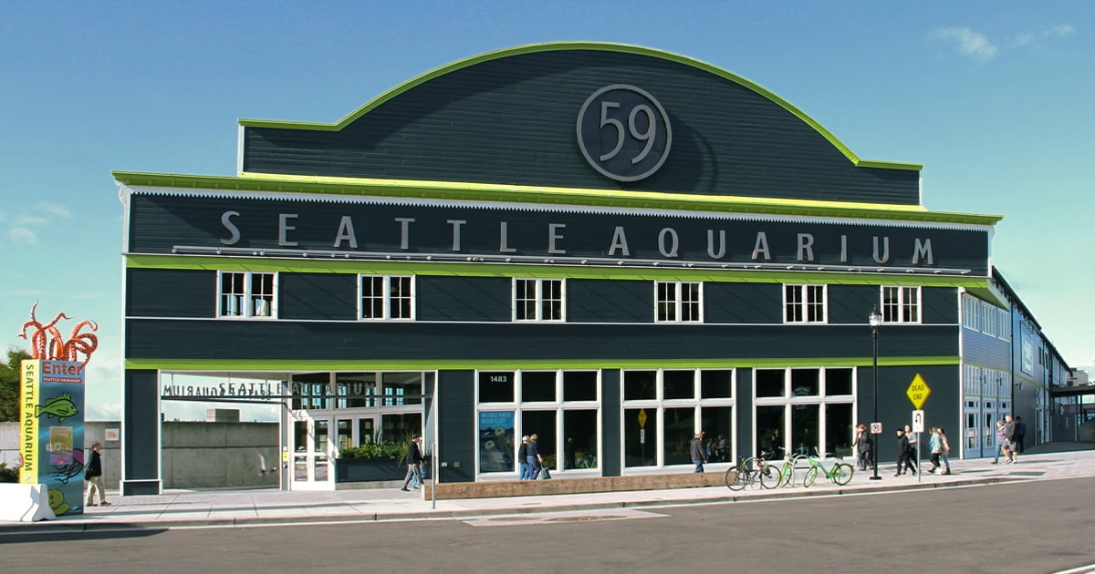 exterior view of seattle aquarium building on waterfront