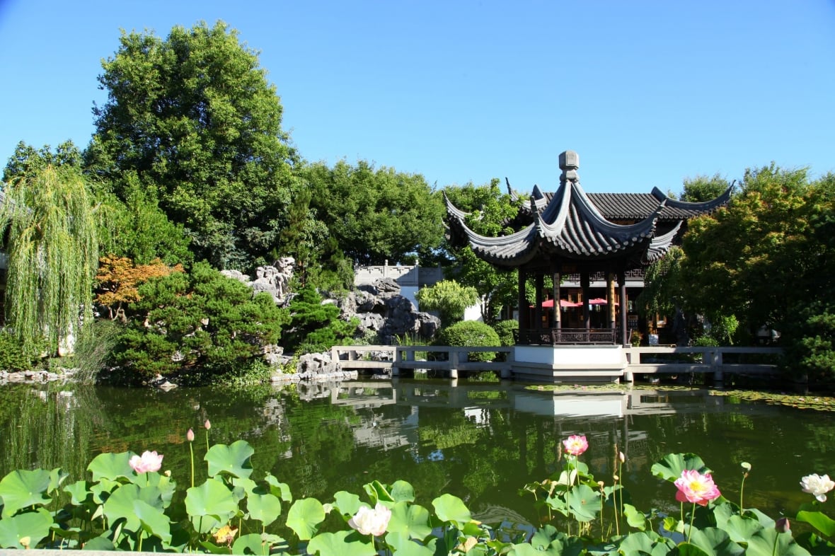 View of Lotus Garden with pond in the foreground with lotus flowers