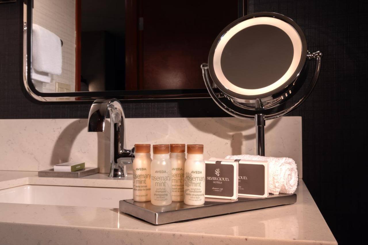 clean bathroom counter with mirror, sink and Aveda amenities including shampoos and bar soap.